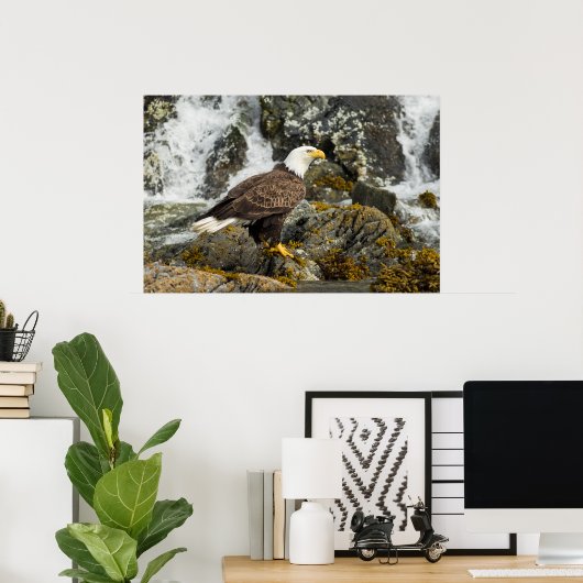 Proud Bald Eagle Poster (Thuiskantoor)
