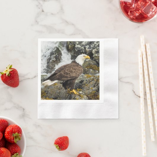 Proud Bald Eagle Servet (Insitu)