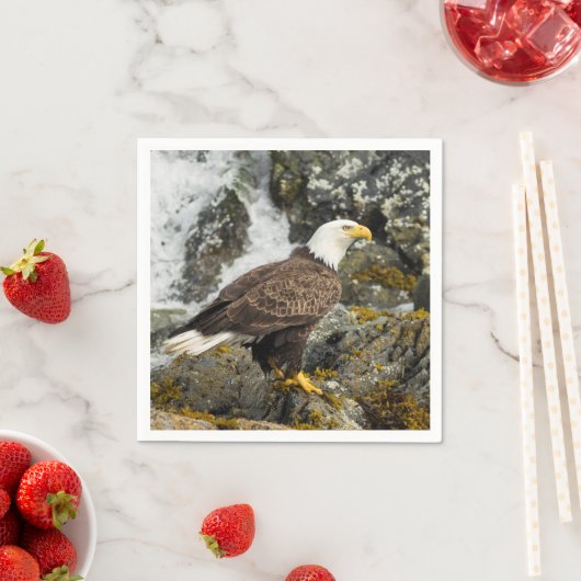 Proud Bald Eagle Servet (Insitu)