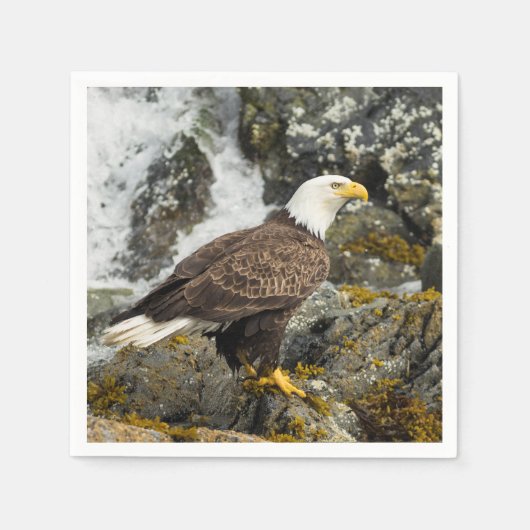 Proud Bald Eagle Servet (Voorkant)