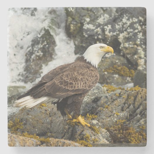 Proud Bald Eagle Stenen Onderzetter (Voorkant)