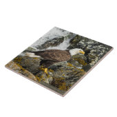 Proud Bald Eagle Tegeltje (Zijkant)