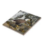 Proud Bald Eagle Tegeltje (Zijkant)