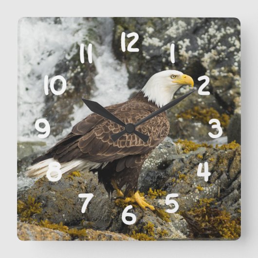 Proud Bald Eagle Vierkante Klok (Voorkant)