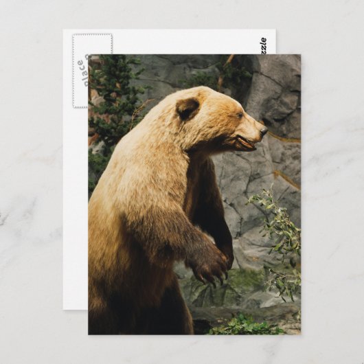 Proud Beer Briefkaart (Voorkant / Achterkant)