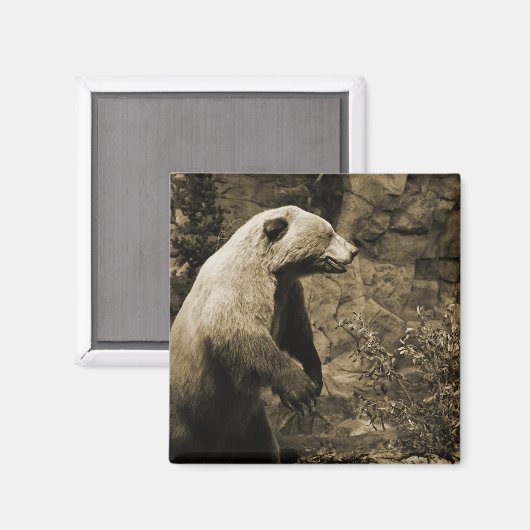 Proud Beer Magneet (Voorkant / Achterkant)