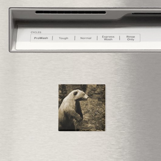 Proud Beer Magneet (Insitu (Vaatwasser))