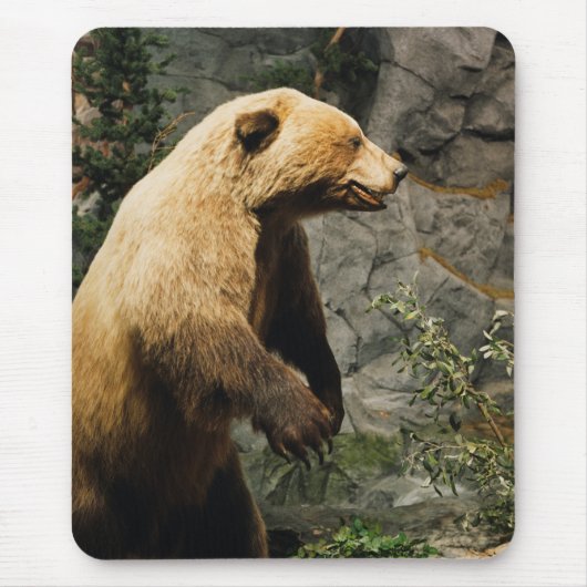 Proud Beer Muismat (Voorkant)