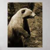 Proud Beer Poster (Voorkant)