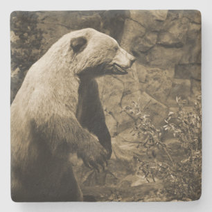 Proud Beer Stenen Onderzetter