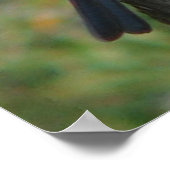 Proud Bluebird Poster (Hoek)