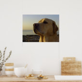 Proud Boy Poster (Keuken)