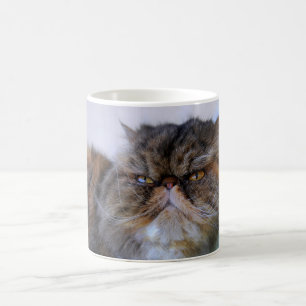 Proud Calico Persian Cat Coffee Mok