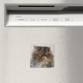 Proud Calico Persian Cat Magnet (Insitu (Vaatwasser))