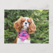Proud Cavalier King Charles Spaniel Puppy Briefkaart (Voorkant)