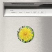 Proud Dandelion Flower. Magneet (Insitu (Vaatwasser))