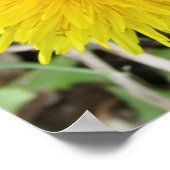 Proud Dandelion Flower. Poster (Hoek)