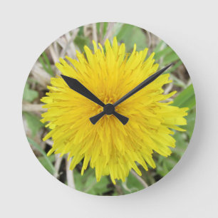 Proud Dandelion Flower. Ronde Klok