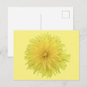 Proud Dandelion Flower - transparant. Briefkaart (Voorkant / Achterkant)