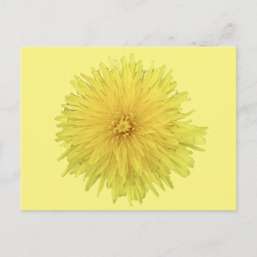 Proud Dandelion Flower - transparant. Briefkaart (Voorkant)