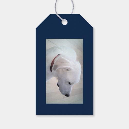 Proud Dog Dad Cute White Labrador Mix Dog profiel Cadeaulabel (Voorkant)