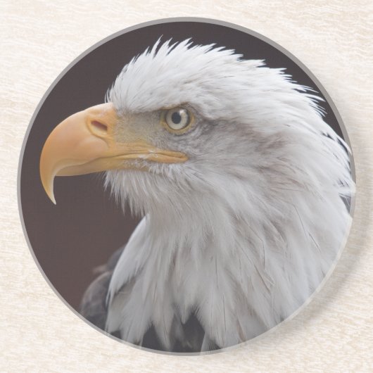 Proud Eagle Coaster Zandsteen Onderzetter (Voorkant)