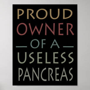 Proud Eigenaar van een nutteloze pancreas Diabetes Poster