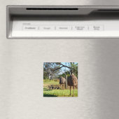 Proud Emu Parents, Fridge Magnet (Insitu (Vaatwasser))