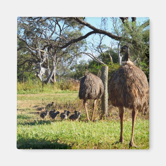 Proud Emu Parents, Fridge Magnet (Voorkant)