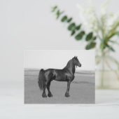 Proud Friesian zwarte hengst Briefkaart (Staand voorkant)