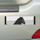 Proud Friesian zwarte hengst Bumpersticker (Op auto)