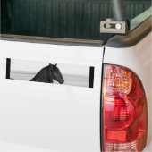 Proud Friesian zwarte hengst Bumpersticker (Op Truck)