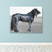 Proud Friesian zwarte hengst Canvas Afdruk (Insitu (Houten vloer))