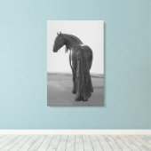 Proud Friesian zwarte hengst Canvas Afdruk (Insitu (Houten vloer))