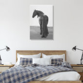 Proud Friesian zwarte hengst Canvas Afdruk (Insitu (Slaapkamer))