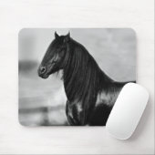 Proud Friesian zwarte hengst Muismat (Met muis)