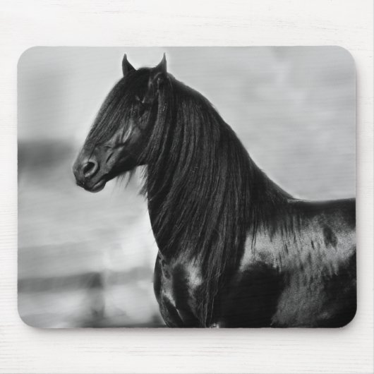 Proud Friesian zwarte hengst Muismat (Voorkant)