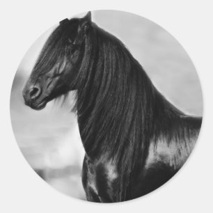 Proud Friesian zwarte hengst Ronde Sticker