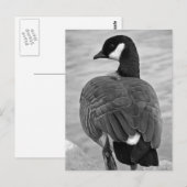 Proud Goose Briefkaart (Voorkant / Achterkant)