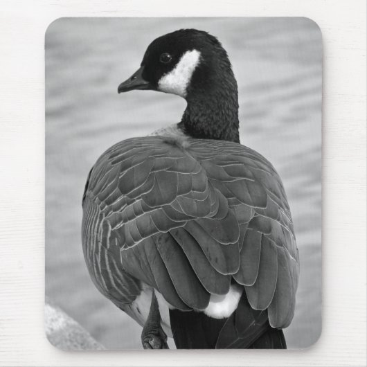 Proud Goose Muismat (Voorkant)