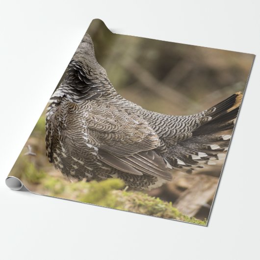 Proud Grouse Cadeaupapier (Uitgerold)