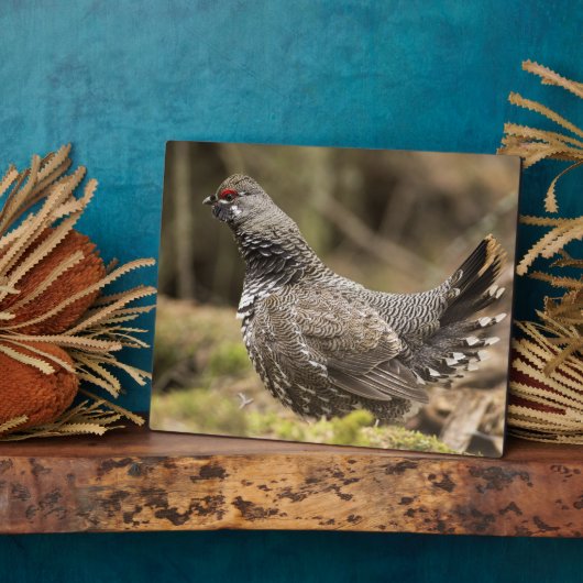 Proud Grouse Fotoplaat (Zijkant)