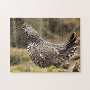 Proud Grouse Legpuzzel