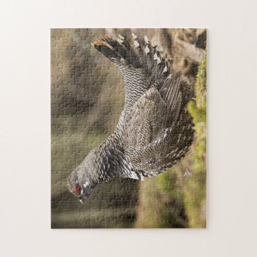 Proud Grouse Legpuzzel (Verticaal)