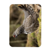 Proud Grouse Magneet (Verticaal)