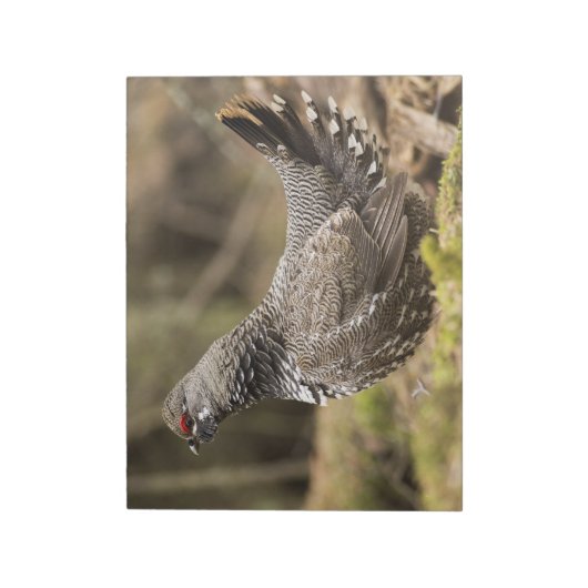 Proud Grouse Notitieblok (Linkerzijde)