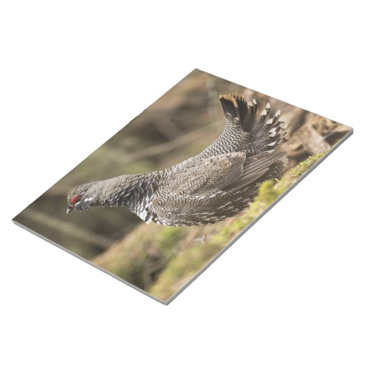 Proud Grouse Notitieblok (Schuin)