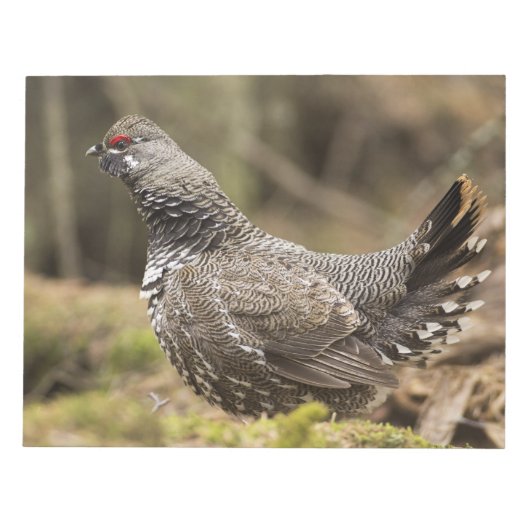 Proud Grouse Notitieblok (Voorkant)