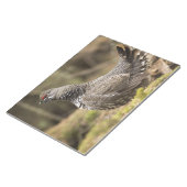 Proud Grouse Notitieblok (Schuin)