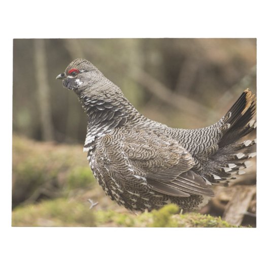 Proud Grouse Notitieblok (Voorkant)
